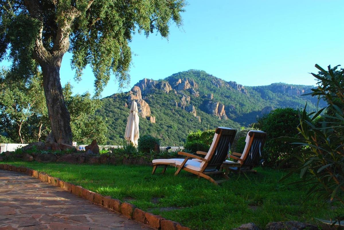 Avec Piscine, Parc Naturel Esterel, Nature, 15 Min De Mandelieu Villa